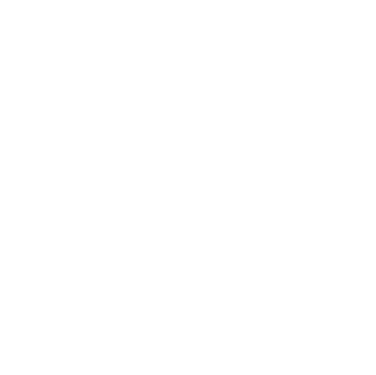 ACE Travel Experiences
