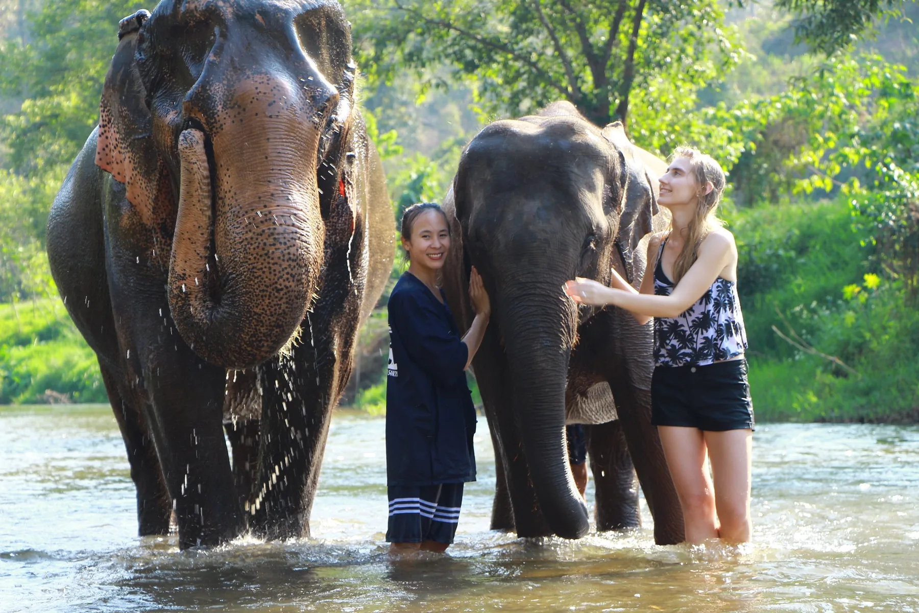 Elephant Sanctuary
