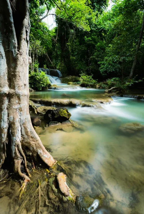 Tropical Islands